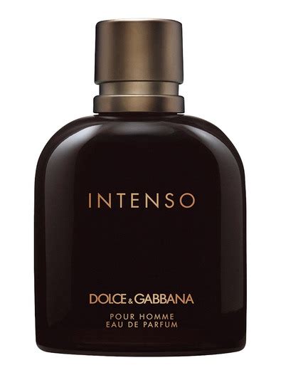 dolce gabbana intenso ceneo|dolce and gabbana oceania.